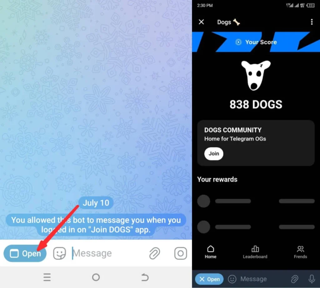 شروع بازی تلگرامی داگز DOGS