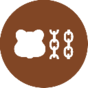 BERAicon