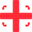 GELicon