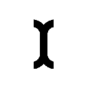INITicon