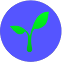 radicon
