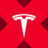 TSLAXicon